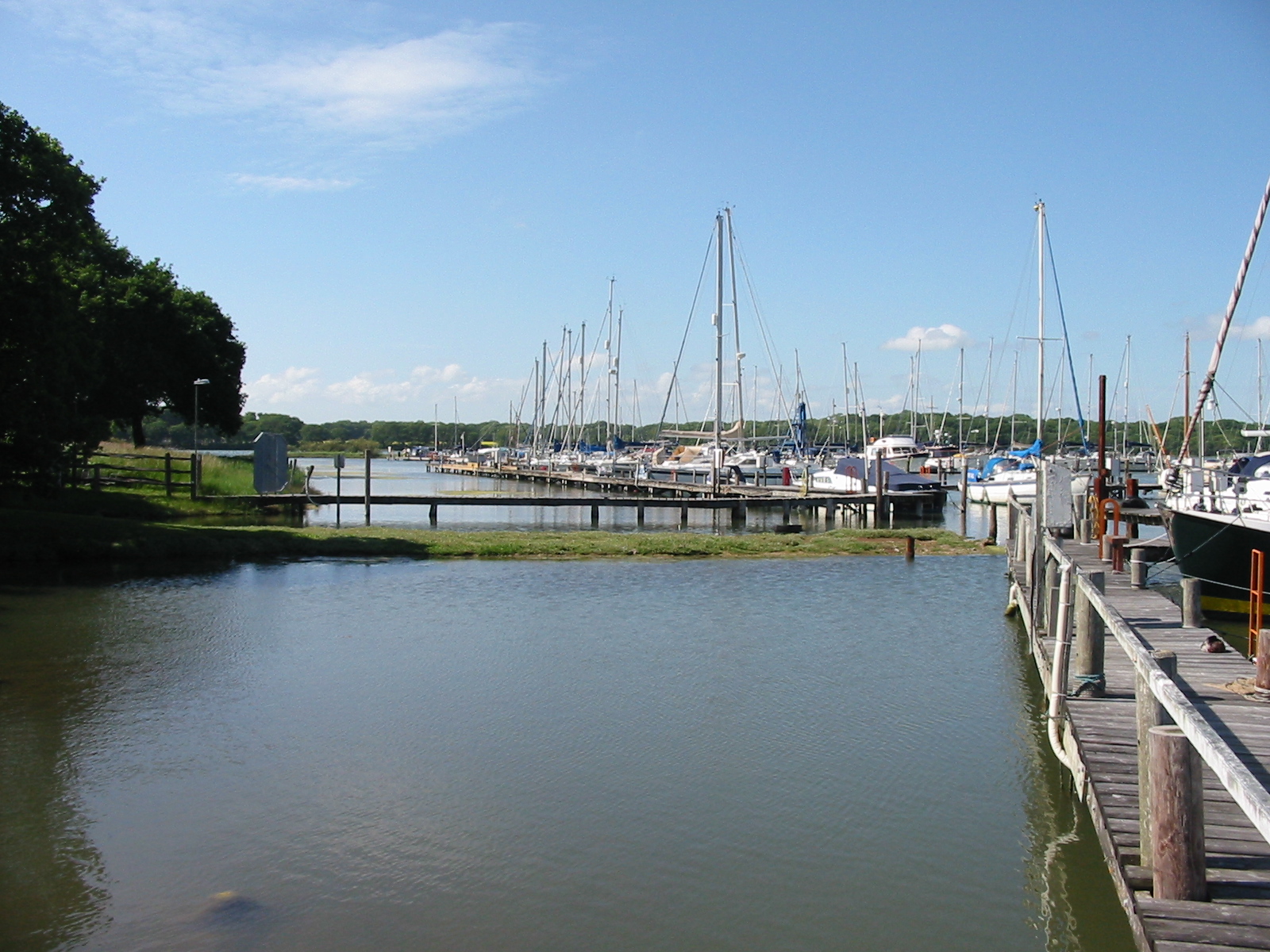 From the boatshed