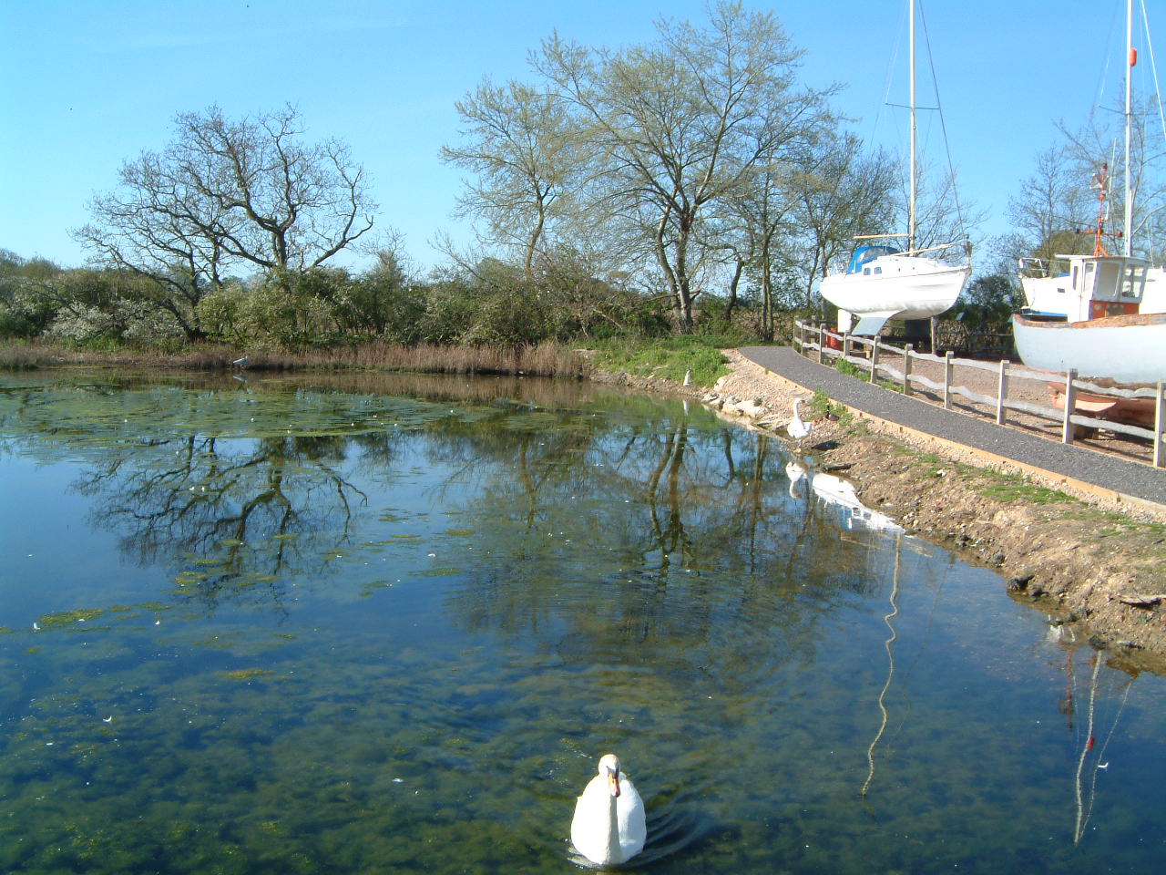 Wetlands
