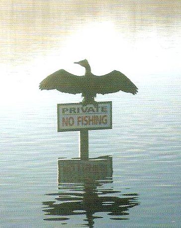 No fishing